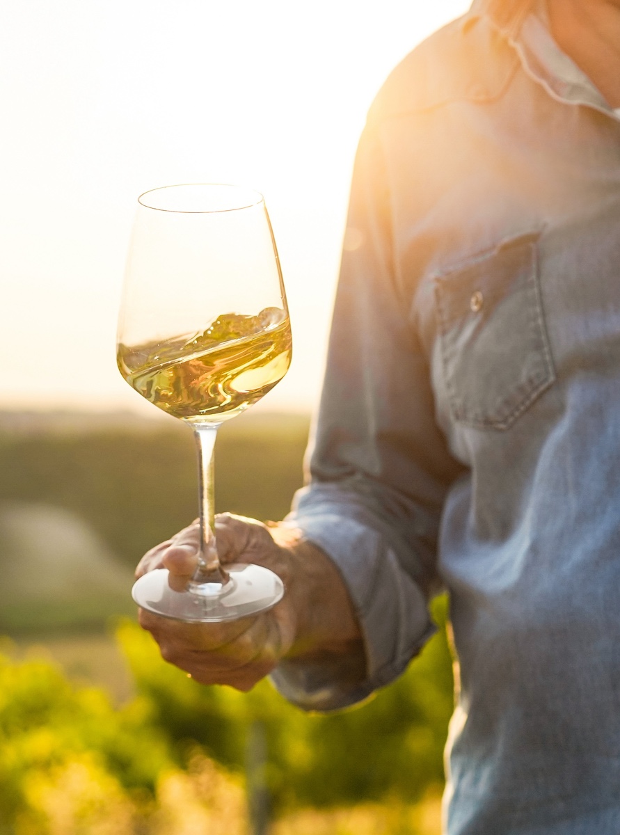 Person in a denim shirt swirling a glass of white wine in a sunlit vineyard at golden hour